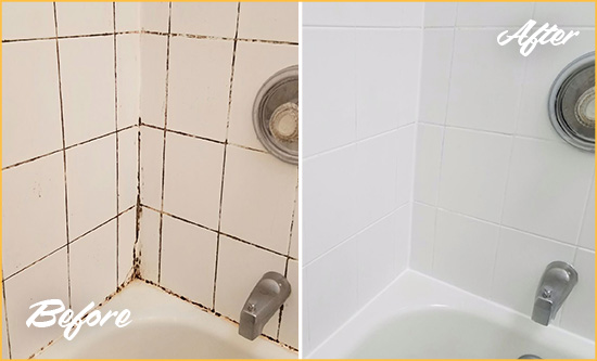 Before and After Picture of a Upper Saint Clair Shower Tile and Grout Cleaned to Eliminate Mold