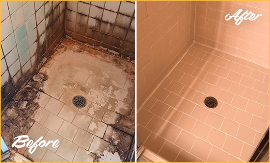 Before and After Picture of a Observatory Shower Tile and Grout Cleaned to Repair Water Damage