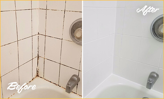 Before and After Picture of a Natrona Heights Tub Grout Cleaned to Eliminate Mold