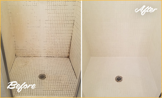 Before and After Picture of a Presto Bathroom Grout Sealed to Remove Mold