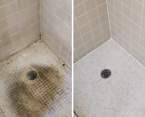 Shower Restored by Our Tile and Grout Cleaners in Wexford, PA