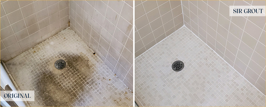 Shower Restored by Our Expert Tile and Grout Cleaners in Wexford, PA