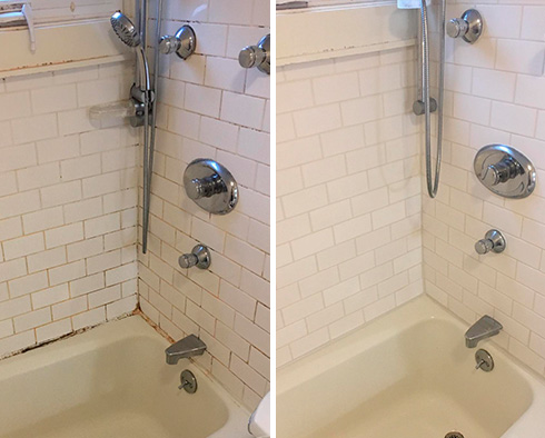 Shower Before and After a Grout Cleaning in Plum, PA