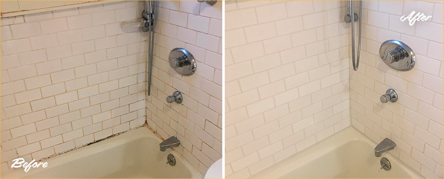 Shower Before and After a Superb Grout Cleaning in Plum, PA