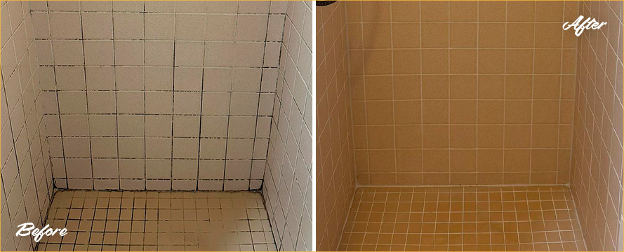 Shower Before and After a Phenomenal Grout Cleaning in Pittsburgh, PA