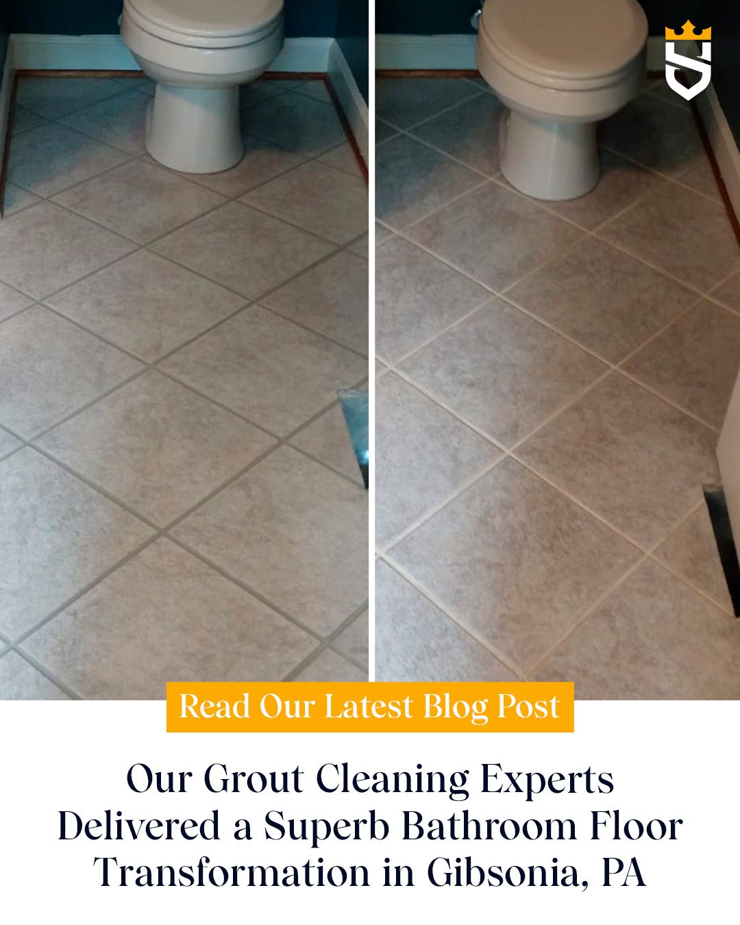 Our Grout Cleaning Experts Delivered a Superb Bathroom Floor Transformation in Gibsonia, PA